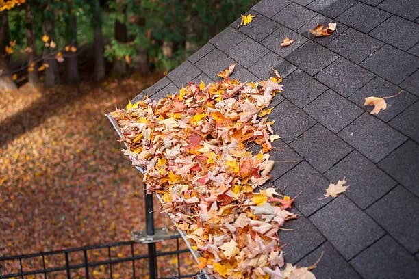 Fall Roofing Checklist: Prepare Your Houston Home for the Season Ahead image