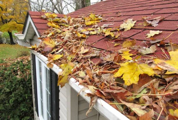 October Home Maintenance: Keep Your Home Looking Its Best image