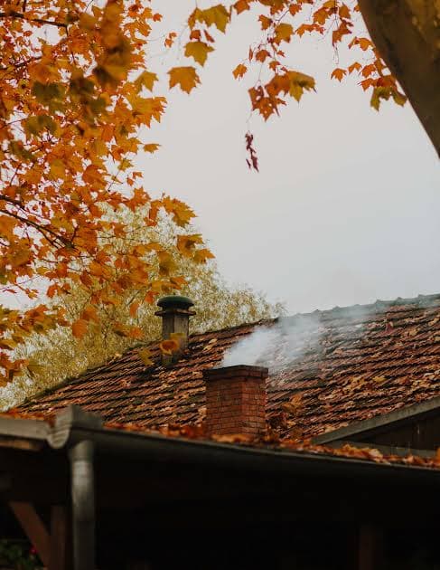Fall Roof Maintenance: Preparing Your Home for Cooler Weather image