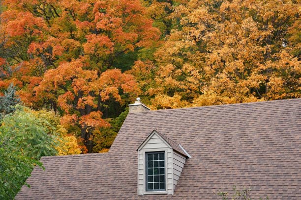 Why Houston Roofs Take a Beating in the Fall: What Changing Weather Can Mean for Your Home image